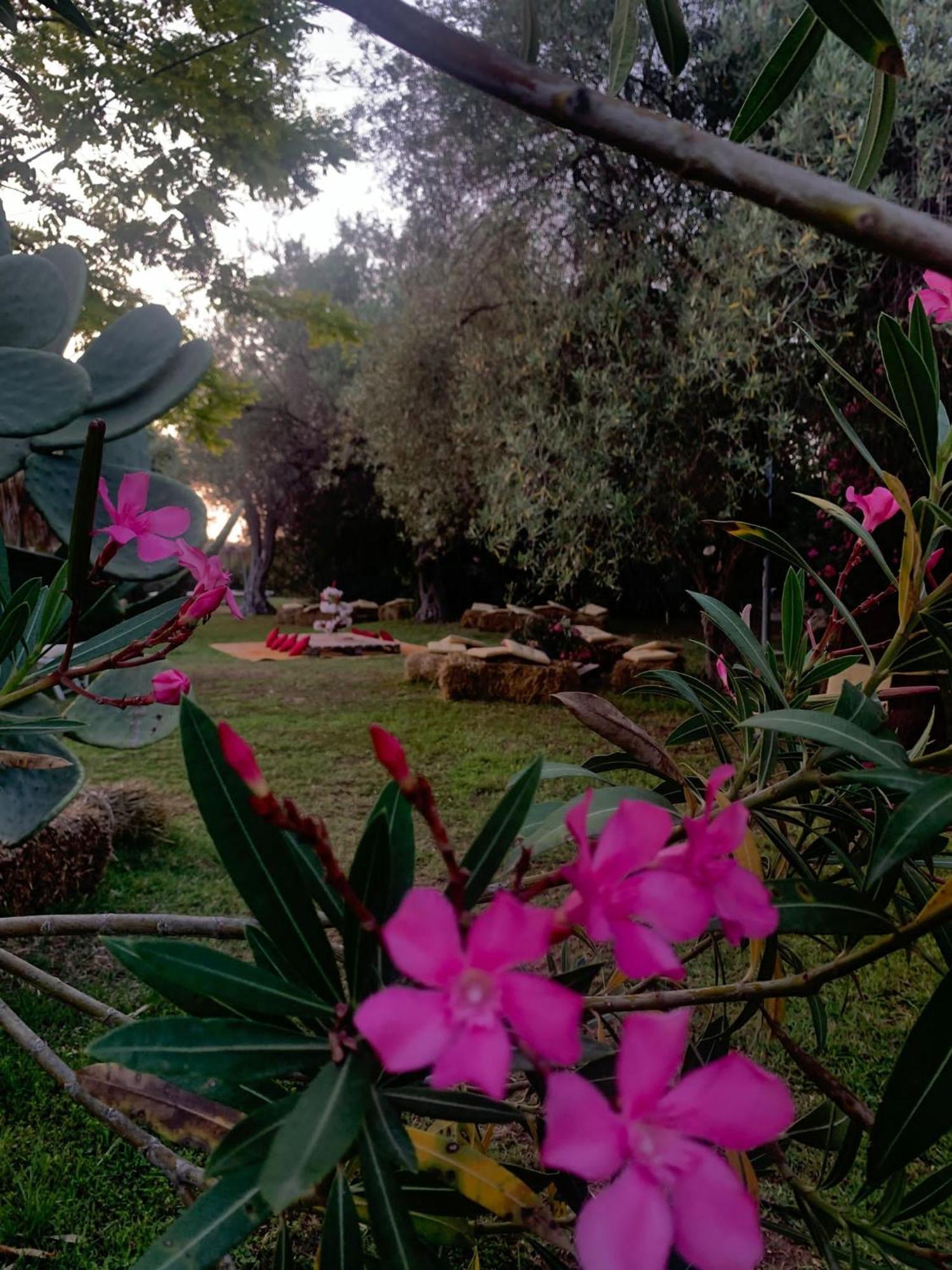 Valle Di Mare Country Resort Фонтане-Бьянке Экстерьер фото