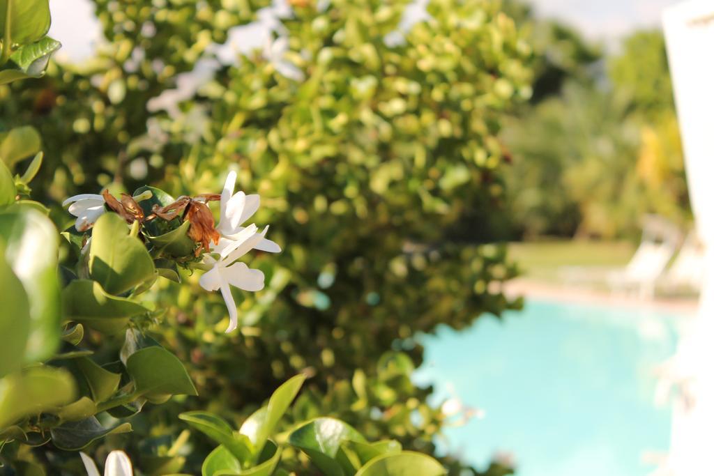 Valle Di Mare Country Resort Фонтане-Бьянке Экстерьер фото